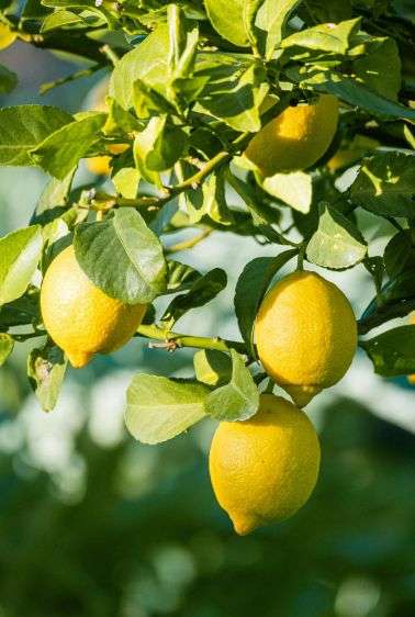 competitividad de la industria